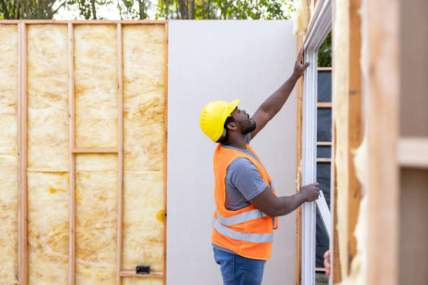 Best Insulation Contractor Near Me  in Leonard, TX