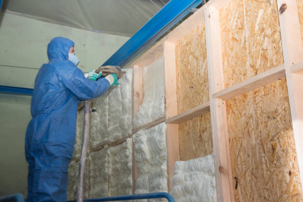 Best Cellulose Insulation  in Leonard, TX